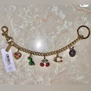 Coach Gold Chain Strap with Multicolor Charms